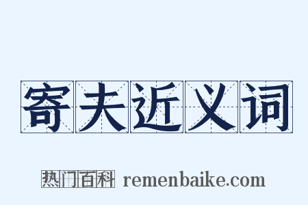 寄夫近义词是什么意思的图片